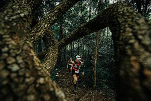 BIB: 
                            <button type="button" onclick="openModal(25671217)" class="btn btn-primary btn-sm float-right btn-popup" data-toggle="modal" data-target=".modal-high-quality">
                        <i class="fas fa-shopping-cart"></i> Add to Cart
                    </button>
                                            <button type="button" onclick="isThisMe(25671217, true)" class="btn btn-success btn-sm float-right btn-popup btn-isme hidden" data-toggle="tooltip" data-placement="bottom" title="นี่คือรูปของคุณใช่ไหม คลิกที่นี่เพื่อเอาเข้าอัลบั้ม">
                        <i class="fas fa-plus"></i> Add to album
                    </button>
                    <button type="button" onclick="isThisMe(25671217, false)" class="btn btn-warning btn-sm float-right btn-popup btn-isnotme hidden">
                        <i class="fas fa-ban"></i> Remove from album
                    </button>